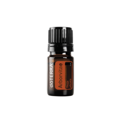 Arborvitae