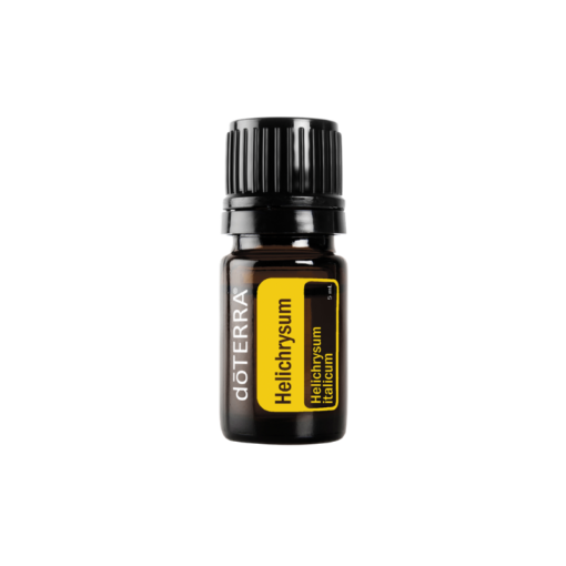 Helichrysum