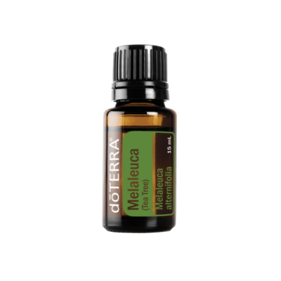 Tea Tree - Melaleuca